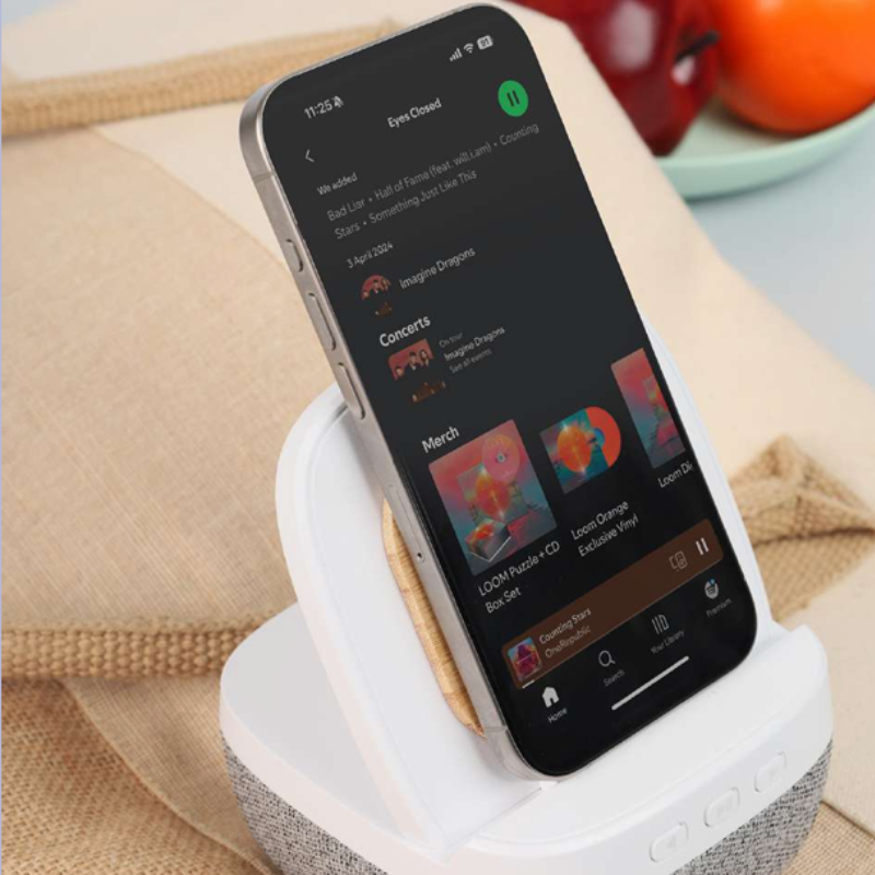 Wireless Charger